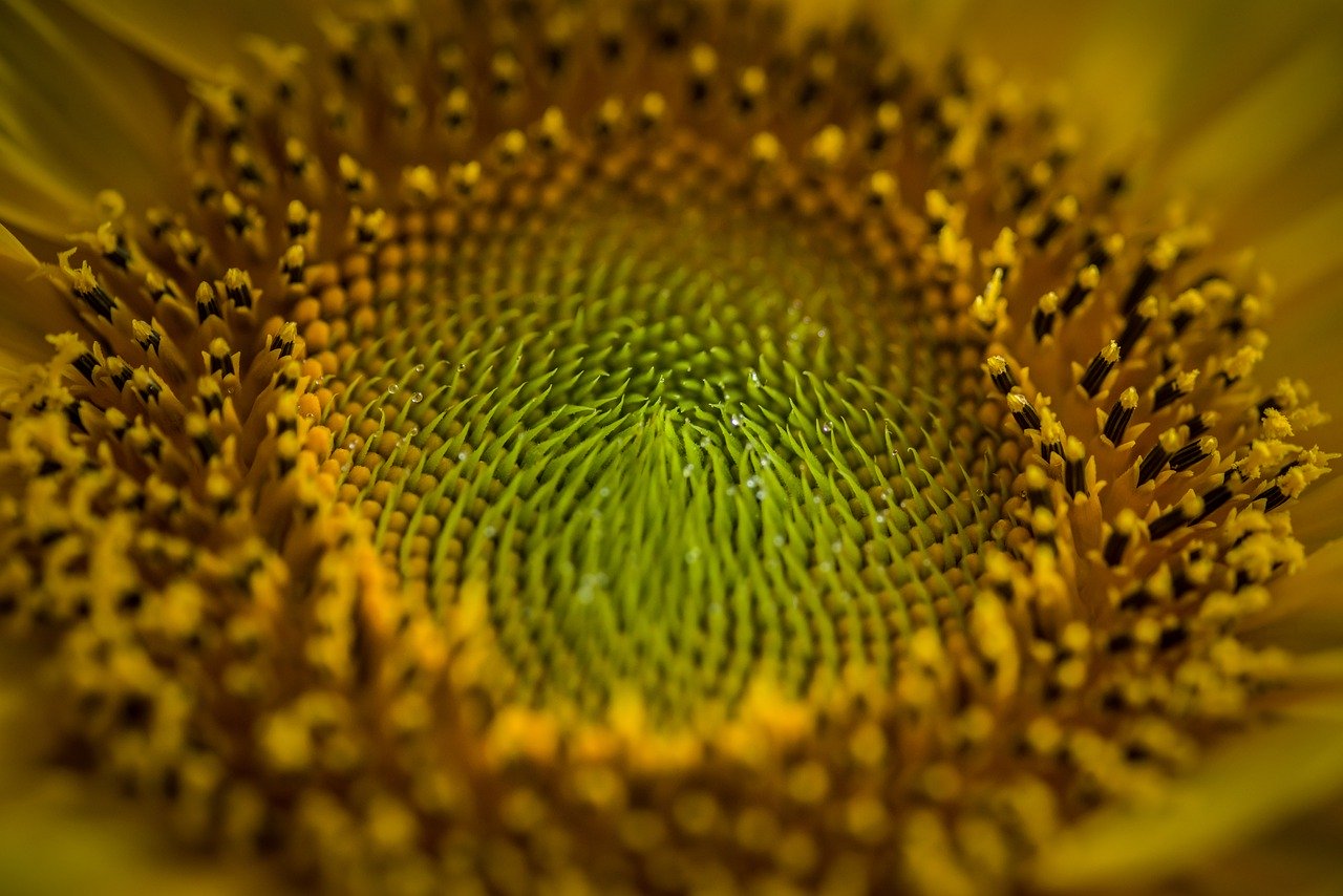 Qual a sua natureza?