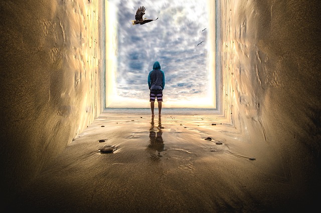 Imagem de mollyroselee por Pixabay