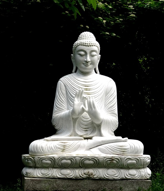 Imagem de <a href="https://pixabay.com/pt/users/tuendebede-3187213/?utm_source=link-attribution&utm_medium=referral&utm_campaign=image&utm_content=1678927">Tünde</a> por <a href="https://pixabay.com/pt//?utm_source=link-attribution&utm_medium=referral&utm_campaign=image&utm_content=1678927">Pixabay</a>