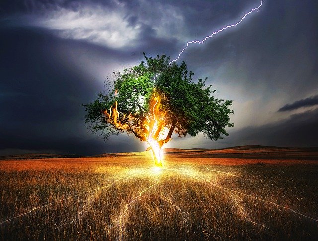 Imagem de 0fjd125gk87 por Pixabay